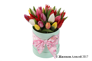 ����� 25 ��������� ���� � ������� ������� (����)