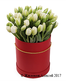 ����� 51 ������� � ������� ������� �������, �����