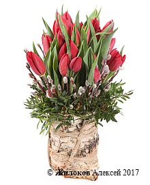 ����� ����� ��� �������