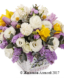 ����� �������� �����