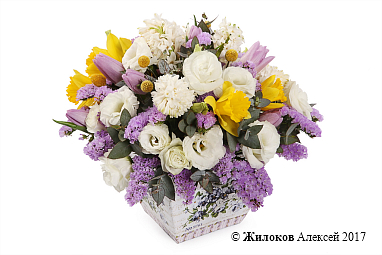 ����� �������� �����