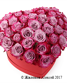 ���������� ������� ����� � ������� ������� ������