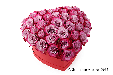 ���������� ������� ����� � ������� ������� ������