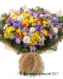 ����� ������ �����������