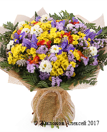 ����� ������ �����������