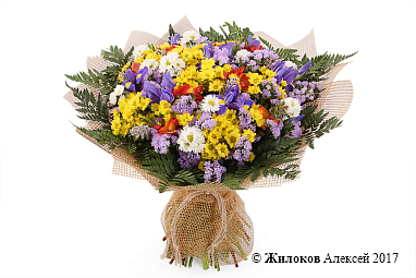 ����� ������ �����������