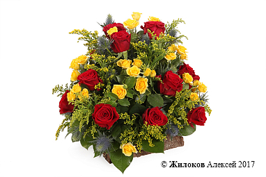 ���������� ������ ��������� � �����