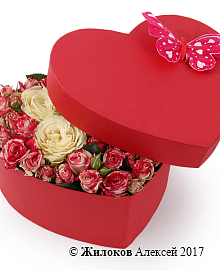 ����� �����-���������� � ������� ������� ������