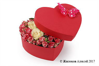 ����� �����-���������� � ������� ������� ������