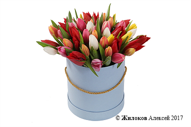 ����� 51 ������� ���� � ������� �������