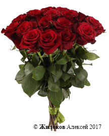 ����� 15 ��� ��� �����