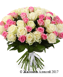 ����� ������ ����������, 51 ����