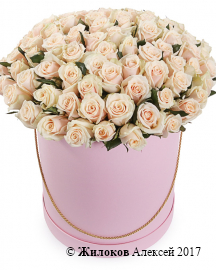 ����� 101 ���� ����� � ������� �������