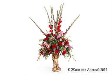 ����� ������� �����