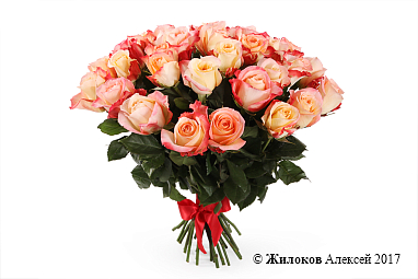 ����� 35 ��� ������