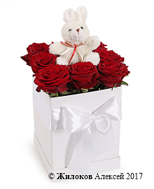 ����� ������ ������� � ������� ������� � ��������