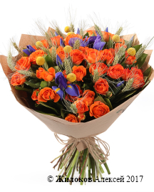 ����� �������� �����