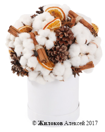 ����� �������� ���� � ������� �������