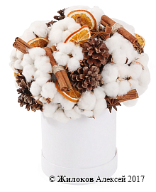 ����� �������� ���� � ������� �������