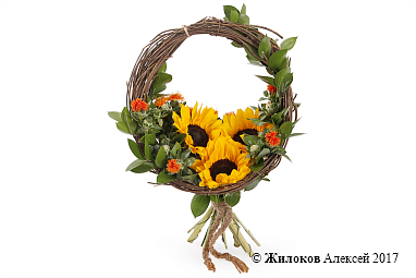 ����� � ������������ ��������� ������