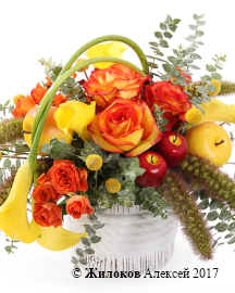 ����� ���� ����� � ����