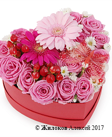 ����� ������� ������ � ������� ������� ������