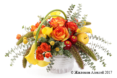 ����� ���� ����� � ����