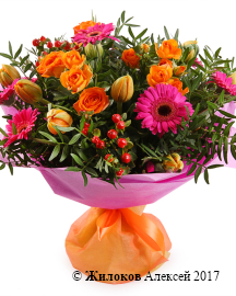 ����� ������ ������