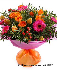 ����� ������ ������