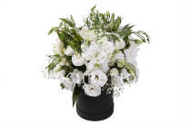 ����� � �������� ����� ���� � ������� �������