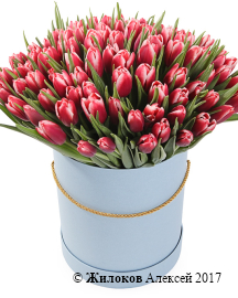 ����� 101 ����������� ������� � ������� ������� �������, ����