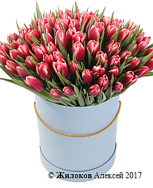 ����� 101 ����������� ������� � ������� ������� �������, ����