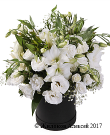 ����� � �������� ����� ���� � ������� �������