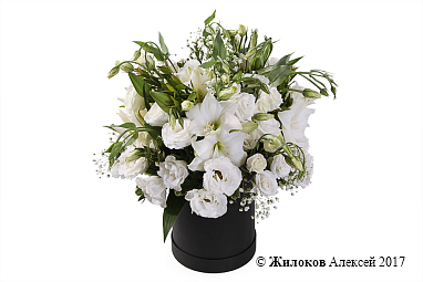 ����� � �������� ����� ���� � ������� �������