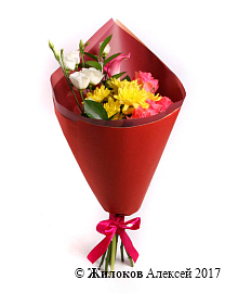 ����� ����� ���������