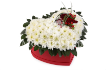 ����� � ������������ ������ � ������ � ������� ������� ������