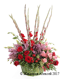 ����� �������� ����