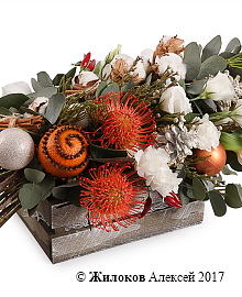 ����� ��������� ���� � ������