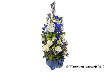 ���������� ��������� ��������