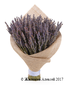 ����� �� ������� ������ �������� � ��������� � ������