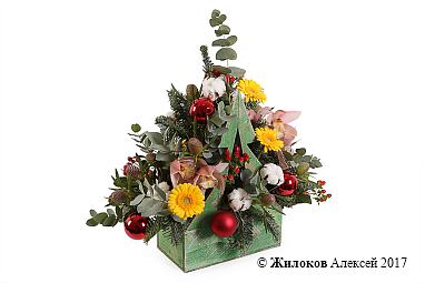 ���������� ���������� ������� � �����