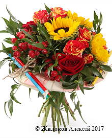 ����� �����-������