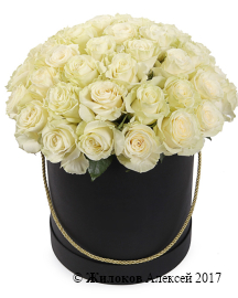 ����� 51 ���� �������� � ������ ������� �������