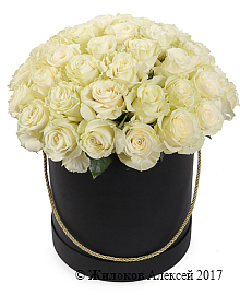 ����� 51 ���� �������� � ������ ������� �������