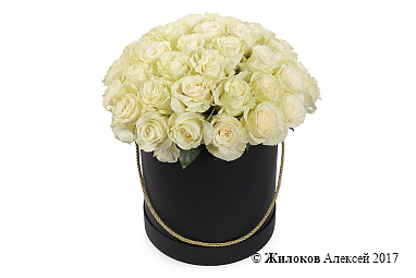 ����� 51 ���� �������� � ������ ������� �������