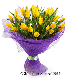 ����� 25 ���������, ������