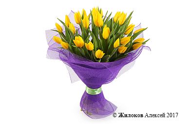 ����� 25 ���������, ������