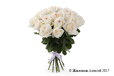 ����� 21 ���� ���� �'����