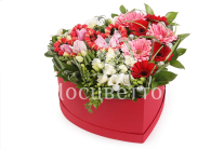 ����� ������� ������ � ������� ������� ������