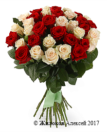 ����� 35 ��� ����